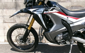 HONDA CRF250 RALLY MD44
