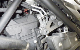 YAMAHA MT-25 RG43J