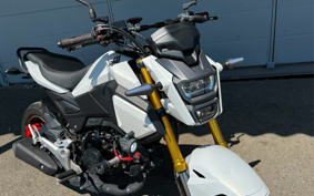 HONDA GROM JC75