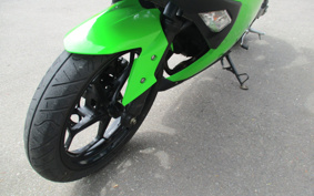 KAWASAKI NINJA 250 EX250L