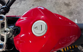 DUCATI 1199PANIGA-RES 2013
