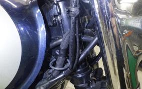 KAWASAKI W800 2021 EJ800B
