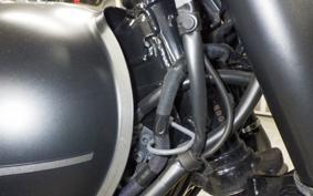 KAWASAKI W800-2ｽﾄﾘｰﾄ 2020 EJ800B