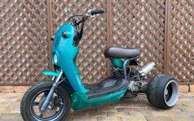 SUZUKI CHORI PASTE  TRIKE 