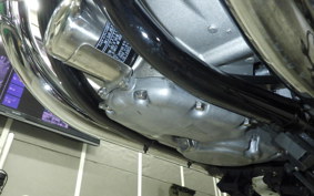 KAWASAKI W800 2021 EJ800B