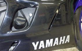 YAMAHA YZF-R3 2019 RH13J