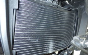 HONDA NX400 2024 NC65