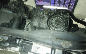 HONDA HORNET 250 MC31