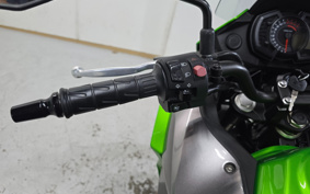 KAWASAKI VERSYS-X 250 ABS LE250D