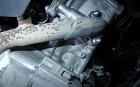 HONDA PCX 160 2024 KF47