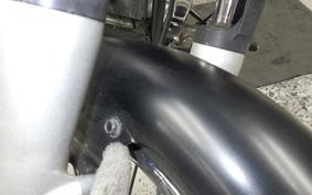 YAMAHA DRAGSTAR 250 2024 VG02J