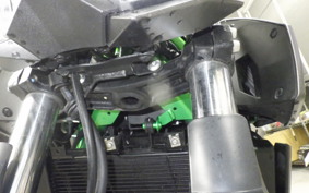 KAWASAKI Z250 Gen.2 2024 EX250Y