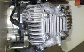 HONDA C50 SUPER CUB 2005 AA09