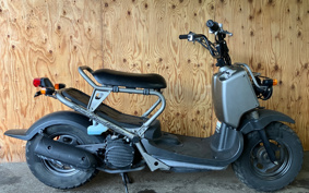 HONDA ZOOMER SPECIAL EDITION AF58