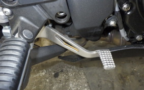 KAWASAKI NINJA1100SX 2025 ZXT10H