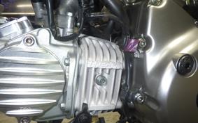 HONDA UNREGISTERED MODEL by BDS125 2019 GC
