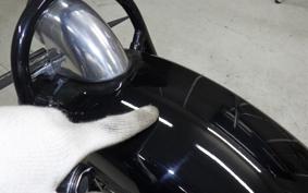 OTHER +UNREGISTERED MODEL by BDS250