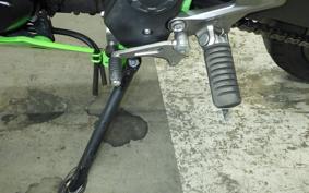 KAWASAKI NINJA 250 SL