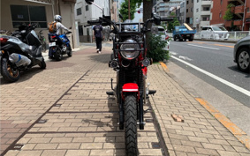 HONDA CT125 HUNTER CUB JA55