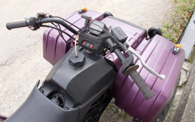 YAMAHA BIGBEA-4X4 3HN