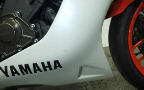 YAMAHA XSR900 GP 2024 RN96J