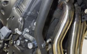 YAMAHA FZ1 FAZER 2010 RN21J