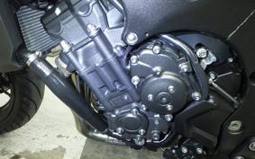 YAMAHA FZ1 FAZER 2013 RN21J