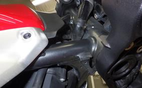 DUCATI SCRAMBLER ICON 2024