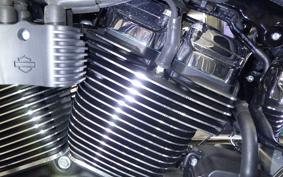 HARLEY FXBR1920 2025