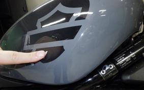HARLEY RH975 2023