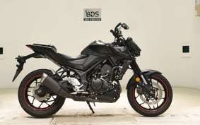 YAMAHA MT-25 A RG74J