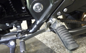 KAWASAKI ZRX1200 D 2017 ZRT20D