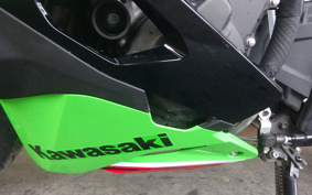 KAWASAKI NINJA ZX-4RR 2023 ZX400P