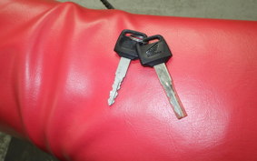 HONDA XLR250R Gen.4 MD22