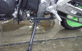 KAWASAKI ZX-4RR 2024 ZX400P