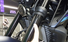 YAMAHA MT-25 A 2013 RG74J