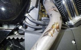 HARLEY XL1200NS 2019