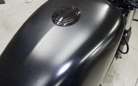 HARLEY XL883N 2021