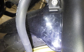 HONDA HORNET 250 2019 MC31