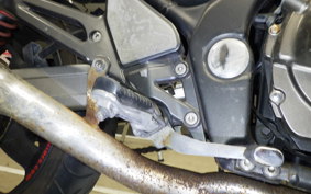 KAWASAKI BALIUS 250 Gen.2 2025 ZR250B
