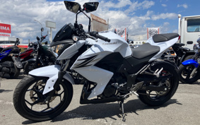 KAWASAKI Z250 ER250C