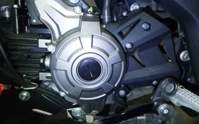 KAWASAKI Z125 PRO BR125H