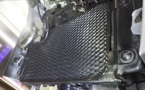 SUZUKI Vｽﾄﾛｰﾑ250A 2024