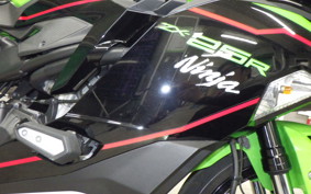 KAWASAKI ZX-25R 2023 ZX250E