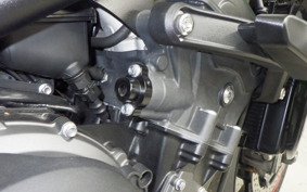 TRIUMPH TRIDENT 660 2024