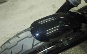 HARLEY XL1200NS 2019