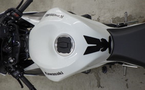 KAWASAKI NINJA ZX-6R A 2025 ZX636J