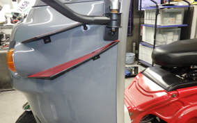 OTHER UNREGISTERED MODEL by BDS TRIKE250 2024