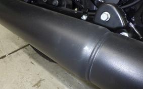 HARLEY FLHC1920 2025