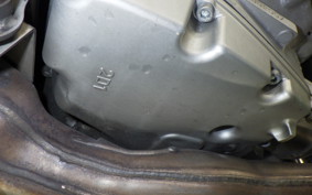 YAMAHA FZ1 FAZER 2009 RN21J